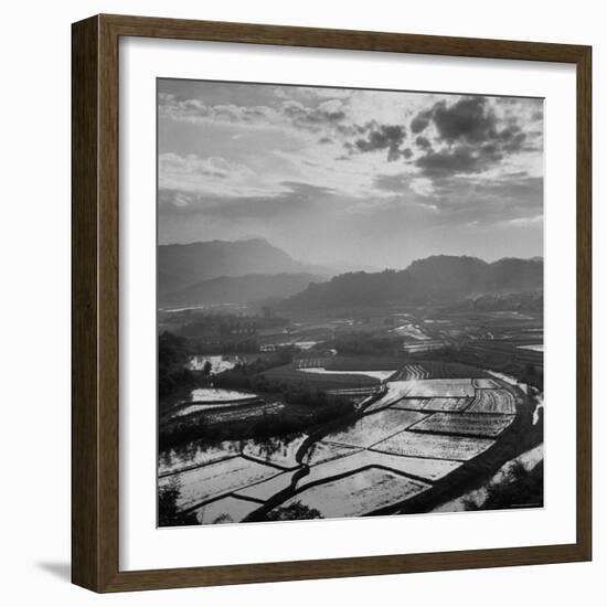 View of a Rice Plantation-John Dominis-Framed Photographic Print