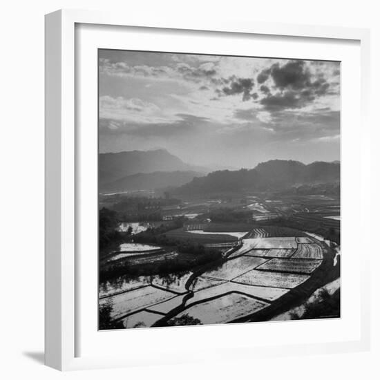 View of a Rice Plantation-John Dominis-Framed Photographic Print