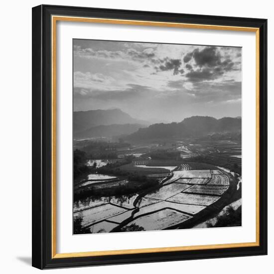 View of a Rice Plantation-John Dominis-Framed Photographic Print