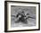 View of a Soldier Using a Springfield Rifle-William Vandivert-Framed Photographic Print