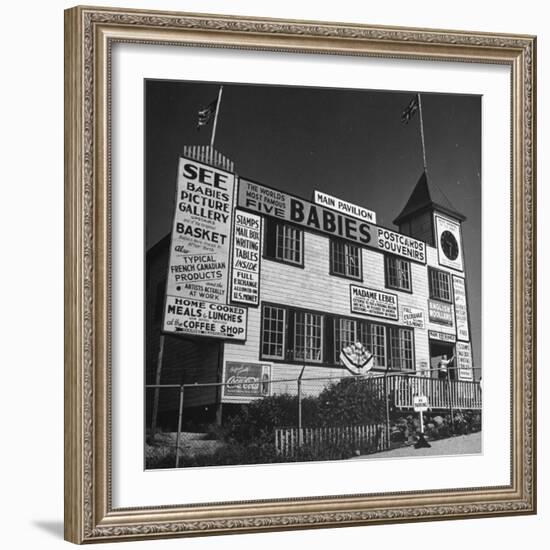 View of a Souvenir Store that Specializes in the Dionne Quintuplets Merchandise-Hansel Mieth-Framed Photographic Print