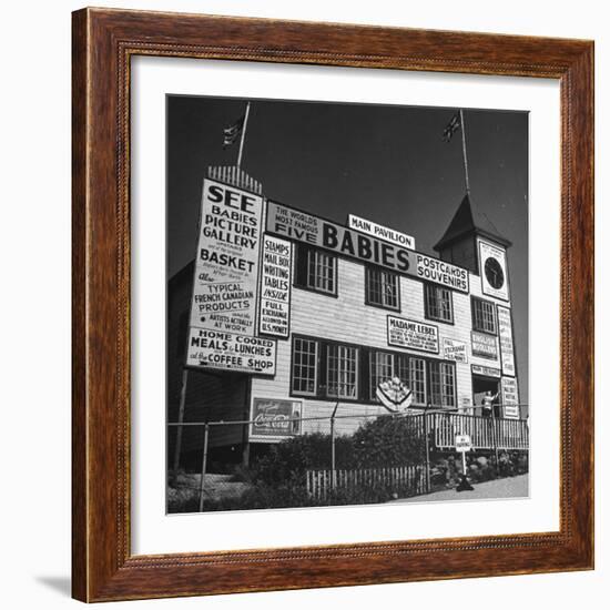 View of a Souvenir Store that Specializes in the Dionne Quintuplets Merchandise-Hansel Mieth-Framed Photographic Print