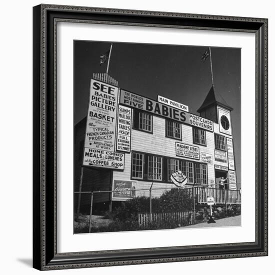 View of a Souvenir Store that Specializes in the Dionne Quintuplets Merchandise-Hansel Mieth-Framed Photographic Print