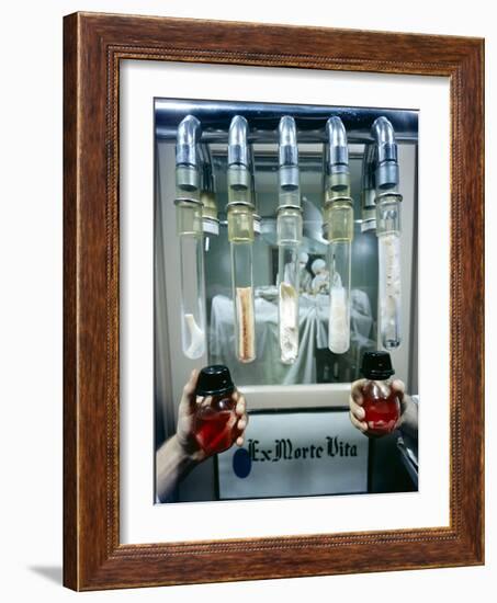 View of a Tissue Bank at the Naval Medical Center, Bethesda, Maryland, 1958-Yale Joel-Framed Photographic Print