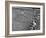 View of a US Track Race, University of Pennsylvania-George Silk-Framed Photographic Print