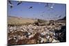 View of a Waste Landfill Site-David Nunuk-Mounted Photographic Print