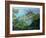 View of Aberdeen from the Peak, Hong Kong-Anne Durham-Framed Giclee Print