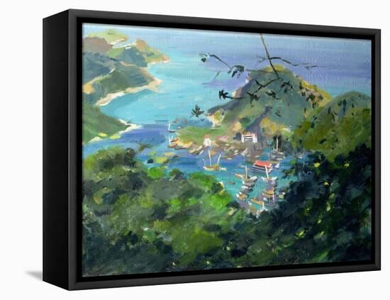 View of Aberdeen from the Peak, Hong Kong-Anne Durham-Framed Premier Image Canvas