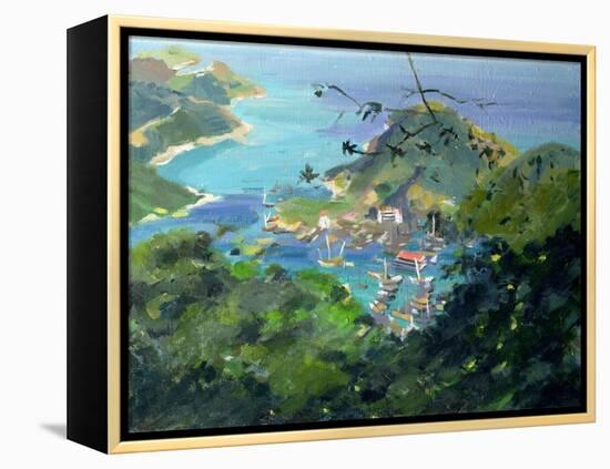 View of Aberdeen from the Peak, Hong Kong-Anne Durham-Framed Premier Image Canvas