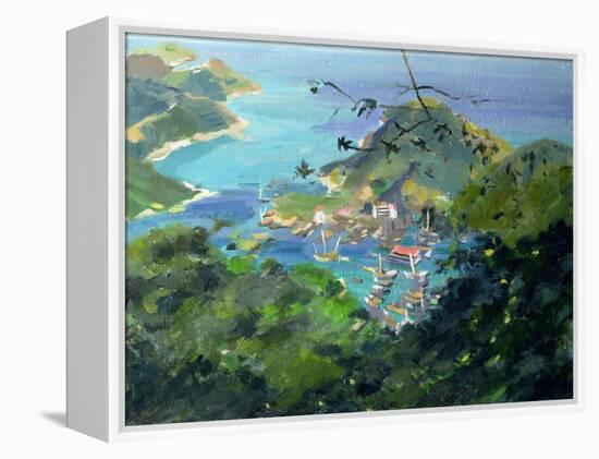 View of Aberdeen from the Peak, Hong Kong-Anne Durham-Framed Premier Image Canvas