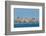 View of Alexandria Harbor, Egypt-javarman-Framed Photographic Print