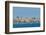 View of Alexandria Harbor, Egypt-javarman-Framed Photographic Print