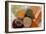 View of An Assortment of Beans And Pulses-Erika Craddock-Framed Photographic Print