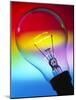 View of An Lit Electric Light Bulb-Tek Image-Mounted Photographic Print