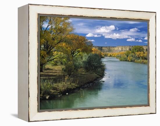 View of Animas River, New Mexico, USA-Massimo Borchi-Framed Premier Image Canvas