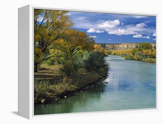 View of Animas River, New Mexico, USA-Massimo Borchi-Framed Premier Image Canvas