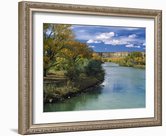 View of Animas River, New Mexico, USA-Massimo Borchi-Framed Photographic Print