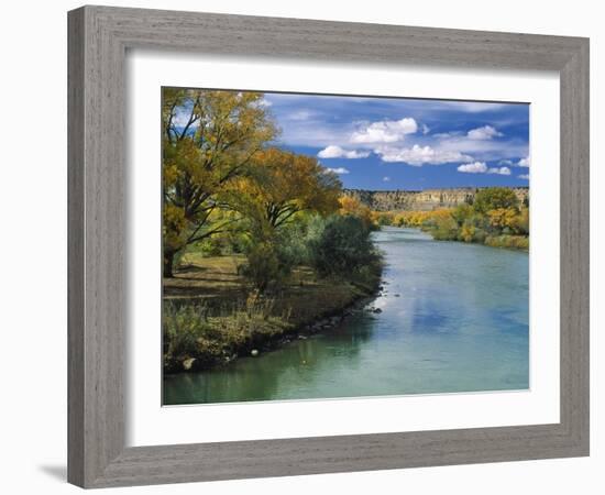 View of Animas River, New Mexico, USA-Massimo Borchi-Framed Photographic Print