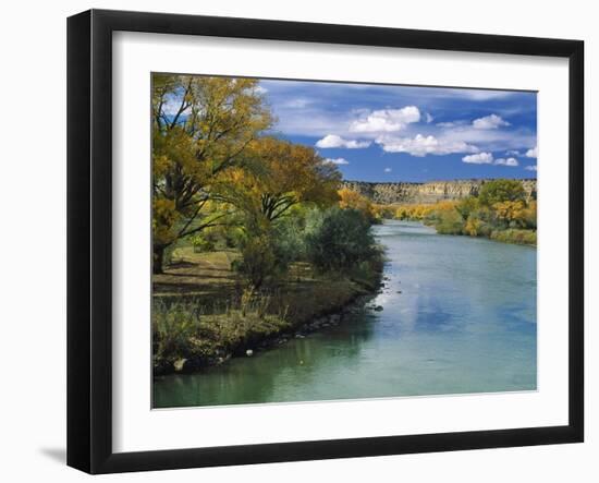 View of Animas River, New Mexico, USA-Massimo Borchi-Framed Photographic Print