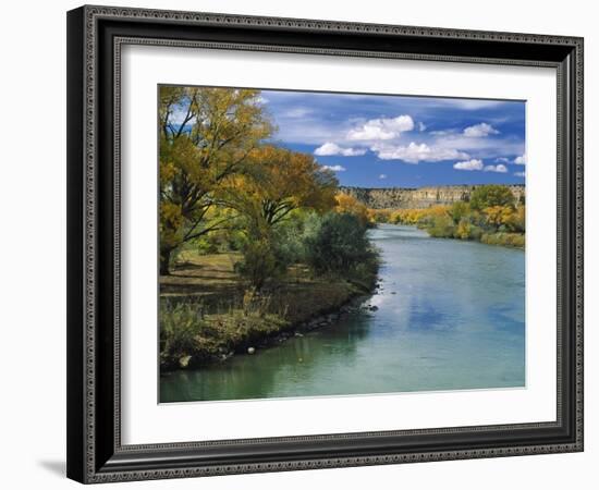 View of Animas River, New Mexico, USA-Massimo Borchi-Framed Photographic Print