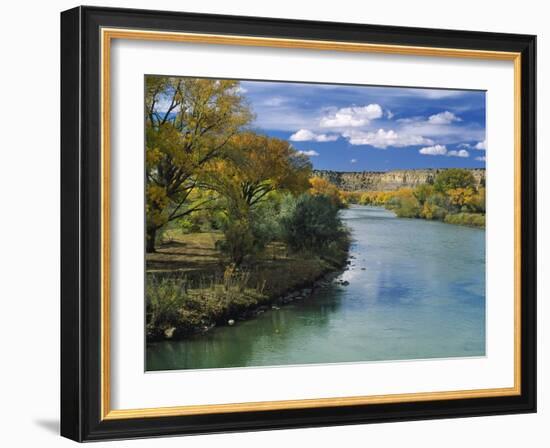 View of Animas River, New Mexico, USA-Massimo Borchi-Framed Photographic Print