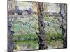 View of Arles, c.1889-Vincent van Gogh-Mounted Giclee Print