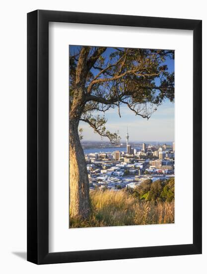 View of Auckland from Mount Eden, Auckland, North Island, New Zealand-Ian Trower-Framed Photographic Print