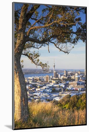 View of Auckland from Mount Eden, Auckland, North Island, New Zealand-Ian Trower-Mounted Photographic Print