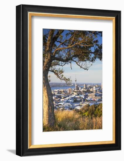 View of Auckland from Mount Eden, Auckland, North Island, New Zealand-Ian Trower-Framed Photographic Print