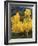 View of Autumn Aspen Grove on Mountain, Telluride, Colorado, USA-Stuart Westmorland-Framed Photographic Print