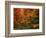 View of Autumn Forest, Vermont, USA-Walter Bibikow-Framed Photographic Print