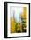 View of autumn trees on forest, Leavenworth, Washington, USA-Panoramic Images-Framed Photographic Print