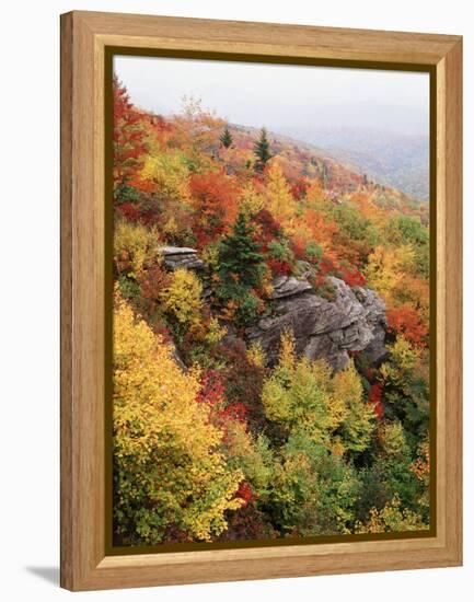 View of Autumnal Rocks, Blue Ridge Parkway, North Carolina, USA-Adam Jones-Framed Premier Image Canvas