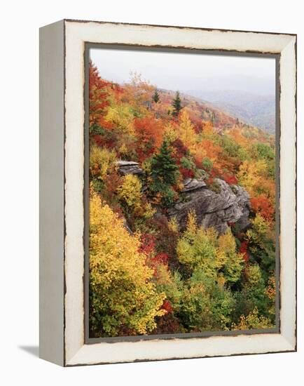 View of Autumnal Rocks, Blue Ridge Parkway, North Carolina, USA-Adam Jones-Framed Premier Image Canvas