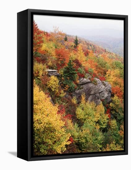 View of Autumnal Rocks, Blue Ridge Parkway, North Carolina, USA-Adam Jones-Framed Premier Image Canvas