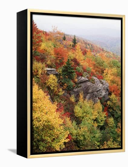 View of Autumnal Rocks, Blue Ridge Parkway, North Carolina, USA-Adam Jones-Framed Premier Image Canvas