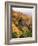 View of Autumnal Rocks, Blue Ridge Parkway, North Carolina, USA-Adam Jones-Framed Photographic Print