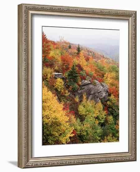 View of Autumnal Rocks, Blue Ridge Parkway, North Carolina, USA-Adam Jones-Framed Photographic Print