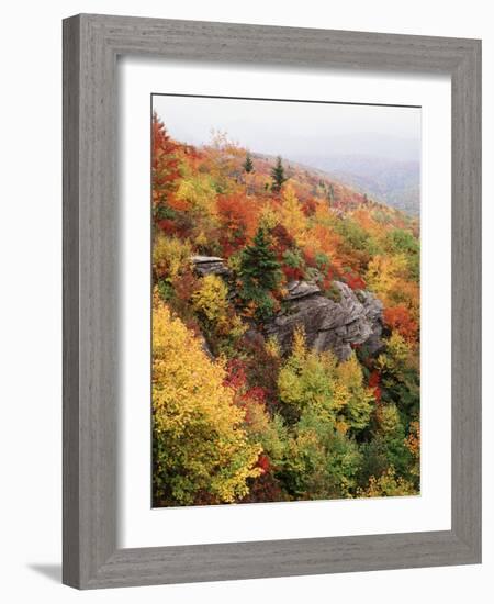 View of Autumnal Rocks, Blue Ridge Parkway, North Carolina, USA-Adam Jones-Framed Photographic Print