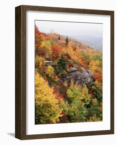 View of Autumnal Rocks, Blue Ridge Parkway, North Carolina, USA-Adam Jones-Framed Photographic Print