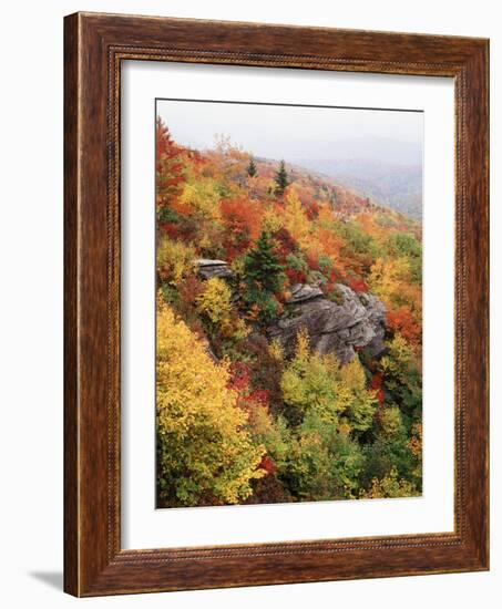 View of Autumnal Rocks, Blue Ridge Parkway, North Carolina, USA-Adam Jones-Framed Photographic Print