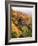 View of Autumnal Rocks, Blue Ridge Parkway, North Carolina, USA-Adam Jones-Framed Photographic Print