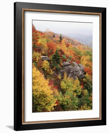 View of Autumnal Rocks, Blue Ridge Parkway, North Carolina, USA-Adam Jones-Framed Photographic Print