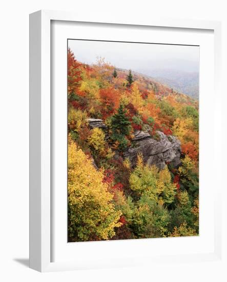 View of Autumnal Rocks, Blue Ridge Parkway, North Carolina, USA-Adam Jones-Framed Photographic Print