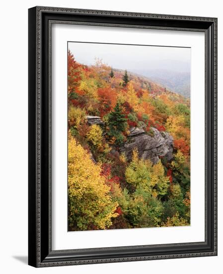 View of Autumnal Rocks, Blue Ridge Parkway, North Carolina, USA-Adam Jones-Framed Photographic Print