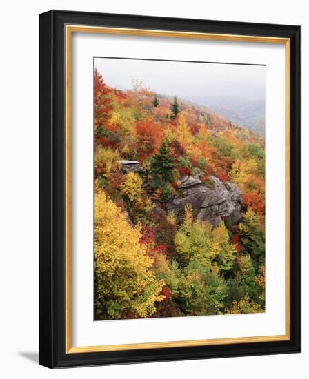 View of Autumnal Rocks, Blue Ridge Parkway, North Carolina, USA-Adam Jones-Framed Photographic Print