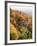 View of Autumnal Rocks, Blue Ridge Parkway, North Carolina, USA-Adam Jones-Framed Photographic Print