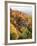 View of Autumnal Rocks, Blue Ridge Parkway, North Carolina, USA-Adam Jones-Framed Photographic Print