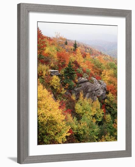 View of Autumnal Rocks, Blue Ridge Parkway, North Carolina, USA-Adam Jones-Framed Photographic Print