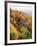 View of Autumnal Rocks, Blue Ridge Parkway, North Carolina, USA-Adam Jones-Framed Photographic Print